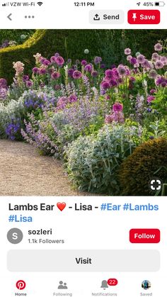 an instagram page with flowers and plants on the left side, which reads lamb's ear - liese = fear flambs