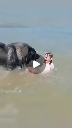 a dog is playing with a frisbee in the water at the beach while a woman watches