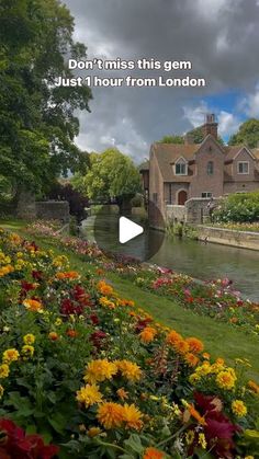 flowers are in the foreground and a house is in the background with text that reads, don't miss this germ just 1 hour from london