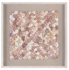 an image of seashells in a frame