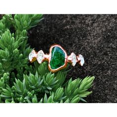 a green ring sitting on top of a plant next to some dirt and plants in the background