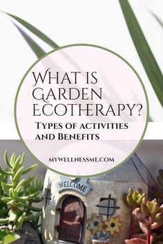 what is garden ecotherapy? types of activities and benefits