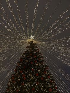 a large christmas tree with lots of lights on it's sides and the top lit up