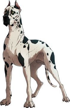 a black and white dog with spots on it's face standing in front of a white background