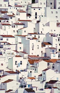 many white buildings with red roof tops