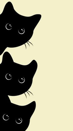 three black cats with their eyes wide open