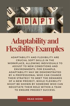 the cover of adaptity and flexibility examples, with blocks spelling out letters on them