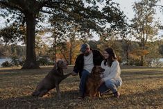 a man and woman petting two dogs on the grass in front of some trees