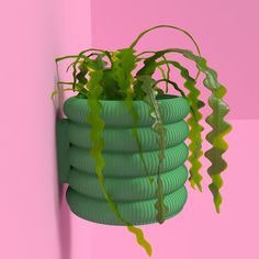 a potted plant hanging from the side of a wall next to a pink wall