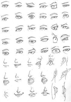 an image of various types of eyes and nose sketches for the character's face