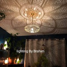 a room with plants and lights on the ceiling