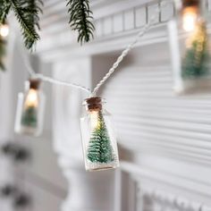 christmas lights hanging from a string with pine trees in glass jars on top of them