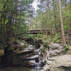 a small stream running through a forest filled with lots of rocks and trees next to a bridge