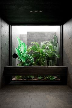 a bench in the middle of a room with some plants on it's side