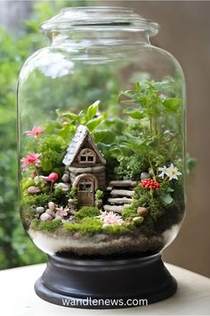 a glass jar filled with plants and a small house