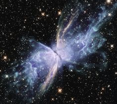 an image of a butterfly shaped object in the sky with stars and dust around it