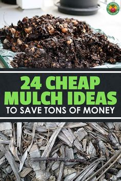 the words 24 cheap mulch ideas to save tons of money on top of a pile of wood chips