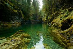 a river surrounded by trees and rocks in the middle of a forest with green mossy rocks