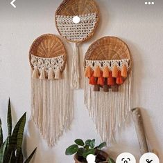 three woven wall hangings with tassels on them and plants in the background