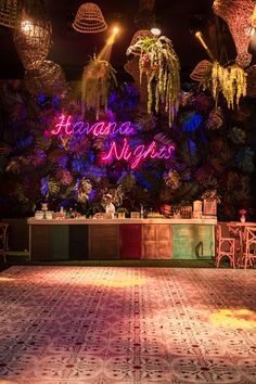 La havana
Inspo la havana 
Cuba
Party Havana Theme, Miami Vice Party, Miami Vice Theme, Havana Nights Theme, Tropical Disco, Salsa Night, Havana Party, Cuban Party