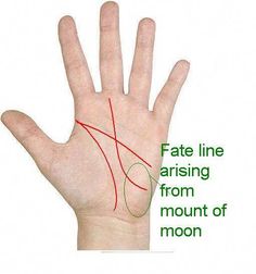 Indian Palmistry, Chinese Numerology, Triangle Sign, Lucky Sign, Know Your Future, Creative Cv, Hand Lines