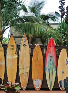 five surfboards are lined up against a fence