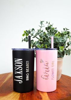 two tumblers sitting on top of a wooden table next to a potted plant