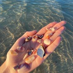 a person's hand holding several seashells in the water