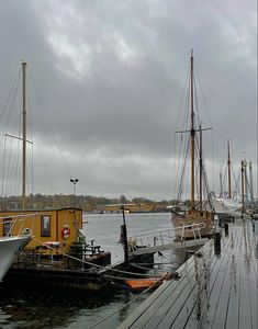 several boats are docked at the dock on a cloudy day