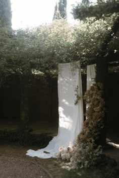 a white dress hanging from a tree in front of some bushes and trees on the ground