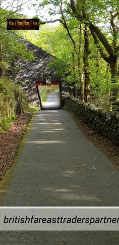 an image of a road going under a bridge in the woods with trees on both sides