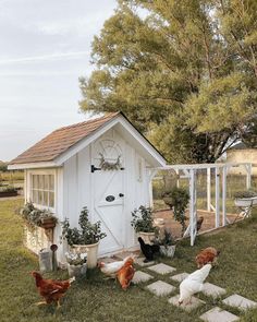 chickens are walking around in the grass near a small shed with a clock on it