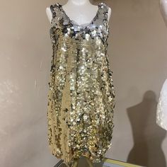 Zara New With Tags!!! Sparkly Gold And Silver Disc Dress, Changes Color When You Brush Your Hand On The Sequins. Soft Black Chiffon Trim Around The Neckline. Size Medium, Fits As A Sleeveless Top, If You’re Really Tiny It Could Fit As A Minidress 22” Long Sparkling Gold Dress For Summer, Gold Sparkling Mini Dress For Summer, Summer Metallic Embellished Sequin Dress, Summer Embellished Metallic Sequin Dress, Gold Sparkling Sleeveless Sequin Dress, Gold Sleeveless Sequin Dress For Spring, Gold Sparkling Mini Dress For Cocktail, Gold Dress For Party Season Celebration, Gold Dress For Celebration In Party Season