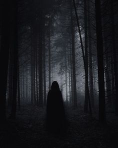 a person standing in the middle of a forest at night with fog on their face