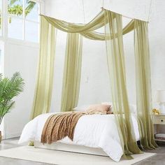 a bed with sheer curtains and pillows in a room next to a potted plant