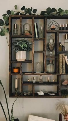 a shelf filled with lots of bottles and plants