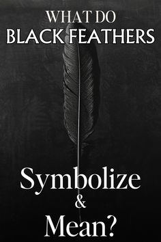 what do black feathers symbolize? and mean? by john wyblee