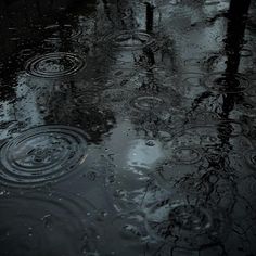 raindrops are falling on the ground in front of trees and water puddles