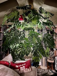 a living room filled with lots of green plants