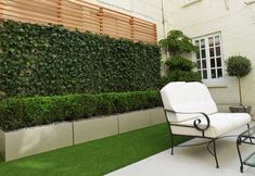 a white chair sitting on top of a lush green lawn next to a tall hedge