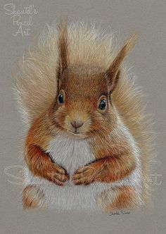 a drawing of a squirrel with fluffy fur on it's head and hands resting its chin on his chest