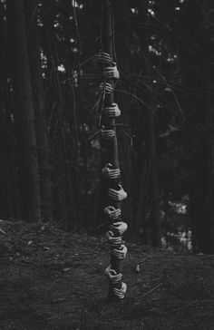 a black and white photo of an upside down object in the woods