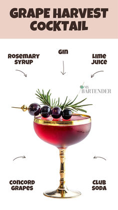 Grape Harvest Cocktail Grape Cocktail Recipes, Grape Cocktail, Grape Cocktails, Concord Grapes, Rosemary Syrup, Trash Party