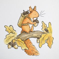 a drawing of a squirrel sitting on a tree branch with acorns in his hands