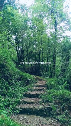 a dirt path in the middle of a forest