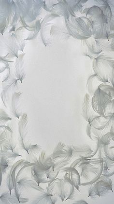 white feathers are arranged in a circular pattern