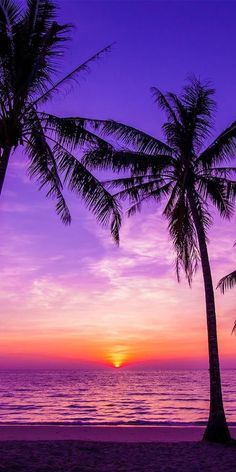 two palm trees are silhouetted against the setting sun on a tropical beach with purple and pink colors