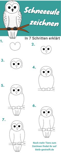 how to draw an owl sitting on a tree branch in 7 easy steps step by step instructions