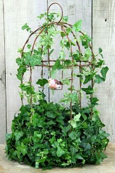 a birdcage filled with green plants on top of a wooden table