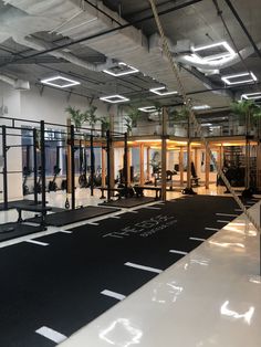 an empty gym with black and white flooring in the middle, surrounded by palm trees